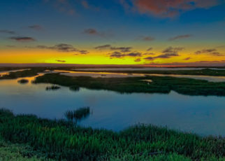 A Green New Deal for a Blue Old Bay