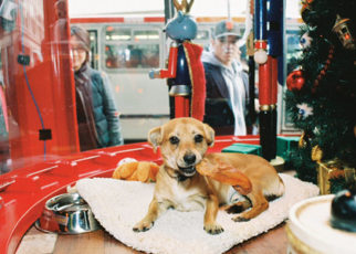 Around the bay in DECEMBER 2009