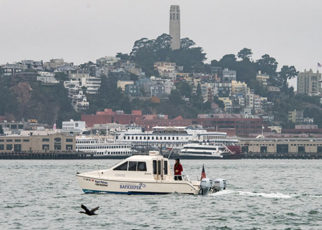 Patrolling the Bay by Boat to Stop Pollution