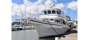 Tideline Gets an Extension