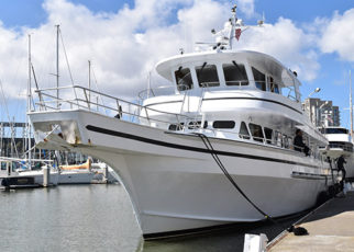 Tideline Gets an Extension