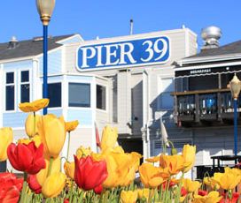 Around the Bay in Febaruary 2013