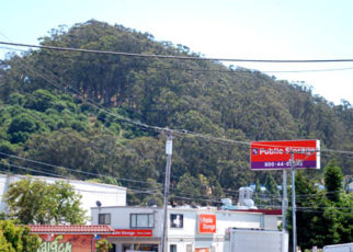 Unexpected Bay Vistas