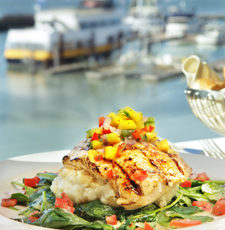 Sustainable Fish in Fisherman’s Wharf: Raising a Glass to Fog Harbor