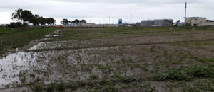 Horizontal Levee Project Breaks New Ground