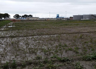 Horizontal Levee Project Breaks New Ground