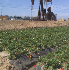 Fracking for Oil Menaces San Francisco Bay