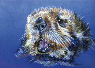 Endangered Art: Southern Sea Otter