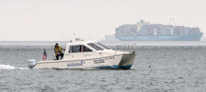 Changing the Fate of the Bay