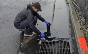 Braving Stormy Weather to Find the Bay’s Industrial Polluters