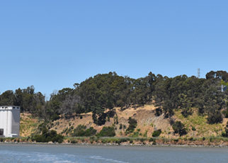 Orcem Four Hijack Vallejo City Council