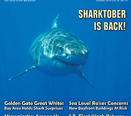 ON OUR COVER October 2015