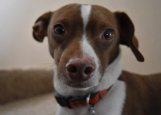 Around the Bay in March 2017