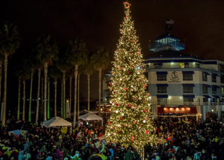 Tree Lighting Ceremony 
Returns to Jack London Square