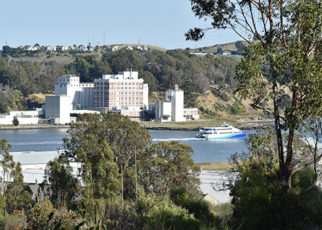 Bay Trail and Vallejo: (Never) Mind the Gap