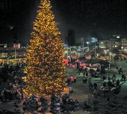 Around the bay in December 2011