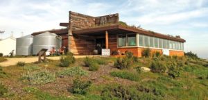 EcoCenter Brings Environmental Justice to Bayview-Hunters Point