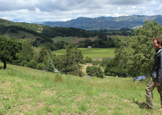 How to Go Green in 2017