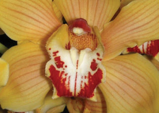 Around the bay in February 2012