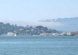 Olympic Swimmers to Compete in Thrilling Tiburon Mile