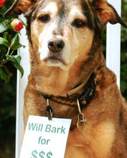 Around the Bay in April 2012