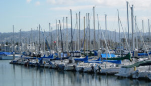 Volunteer Dockwalkers Provide Boating Tips to the Public