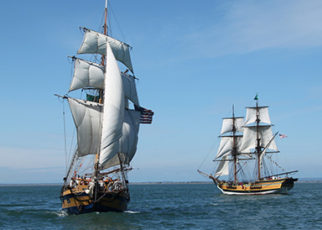 Around the Bay in March 2015