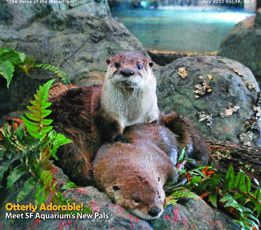 ON OUR COVER JULY 2013