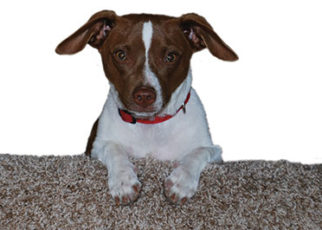 Around the Bay in February 2016