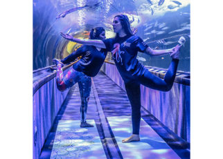 Around the Bay in May