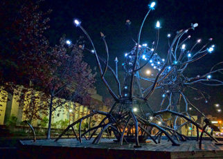 Around the Bay in December 2016