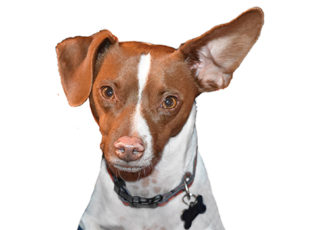 Around the Bay in May 2018