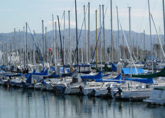 Around the Bay in April 2016