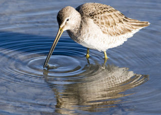 Fighting to Prevent Coal Pollution in the Bay-Again