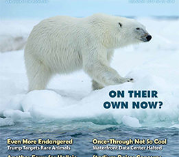 On Our Cover September 2019