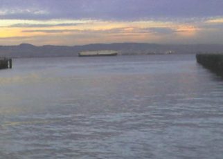 Opposing the Proposed Waterfront Basketball Arena