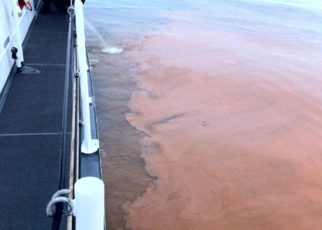 Coast Guard Investigates Algal Bloom
