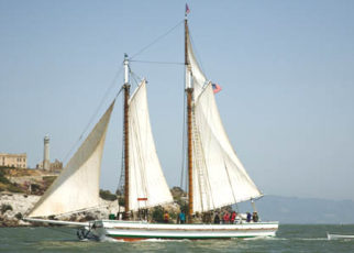 Around the bay in May 2009