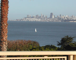 Alta Mira – A New View