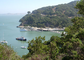 Four Parks for the Price of One