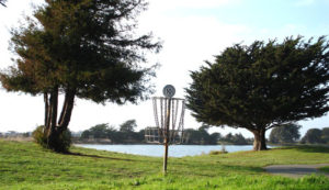 Disc Golf Flies High in the Bay Area