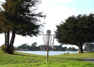 Disc Golf Flies High in the Bay Area