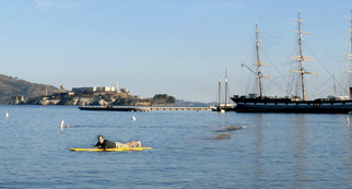 Aquatic Park Lagoon Reopens for Swimming