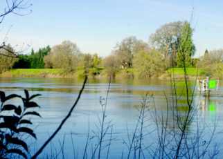 More Rain, More Problems, More Solutions