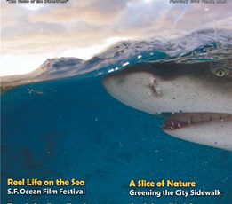 ON OUR COVER February 2010