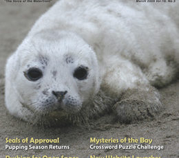 ON OUR COVER MARCH 2009
