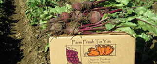 Thaddeus’ Ruminations