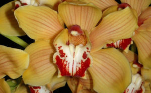 Around the bay in February 2010