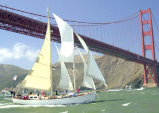 THE WORLD’S SECOND OLDEST PROFESSION?