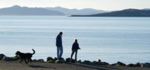 Protecting the Bay by Watchdogging Government Agencies